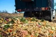 آمار باورنکردنی از اسراف مواد غذایی در عربستان سعودی