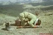 سه فایده‌ای که نمازگزار به دست می‌آورد
