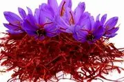 قیمت انواع زعفران امروز سه‌شنبه ۹ مرداد ۱۴۰۳ + جدول