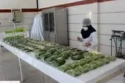 کارخانه بسته بندی سبزیجات در استان زنجان افتتاح شد