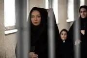 فیلم جدیدی نیکی کریمی به جشنواره می رسد