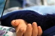 مرگ فجیع دختر ۳ ساله+ جزئیات