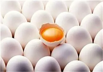 تخم مرغ مانع جذب آهن می شود!