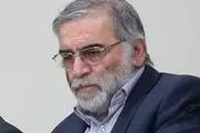 گزارشی از ترور محسن فخری‌زاده دانشمند هسته‌ای کشورمان+ فیلم