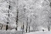 هشدار هواشناسی / احتمال کولاک برف در تهران