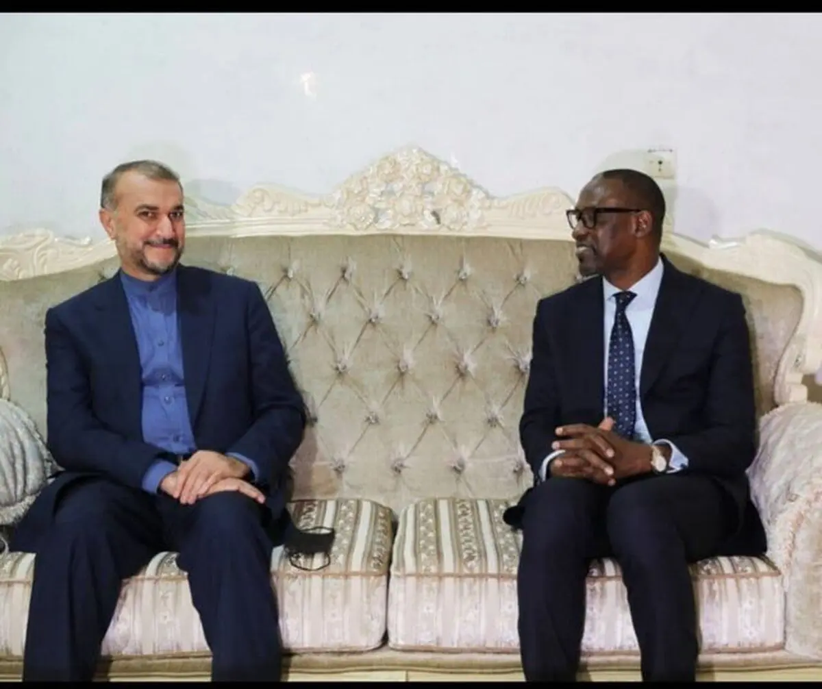 استقبال وزیر خارجه مالی از امیرعبداللهیان  