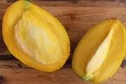 فواید بی نظیر هسته انبه/ درمان بیماری قلبی عروقی