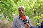 برداشت بیش از ۶ تن محصول ارگانیک از زمین ۲ هزار متری