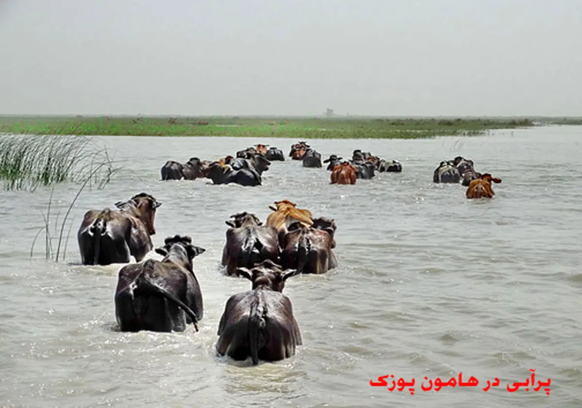 تالاب هامون خشک شد+ تصاویر