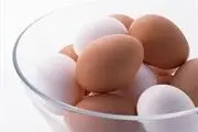 چگونگی تشخیص فساد تخم‌مرغ