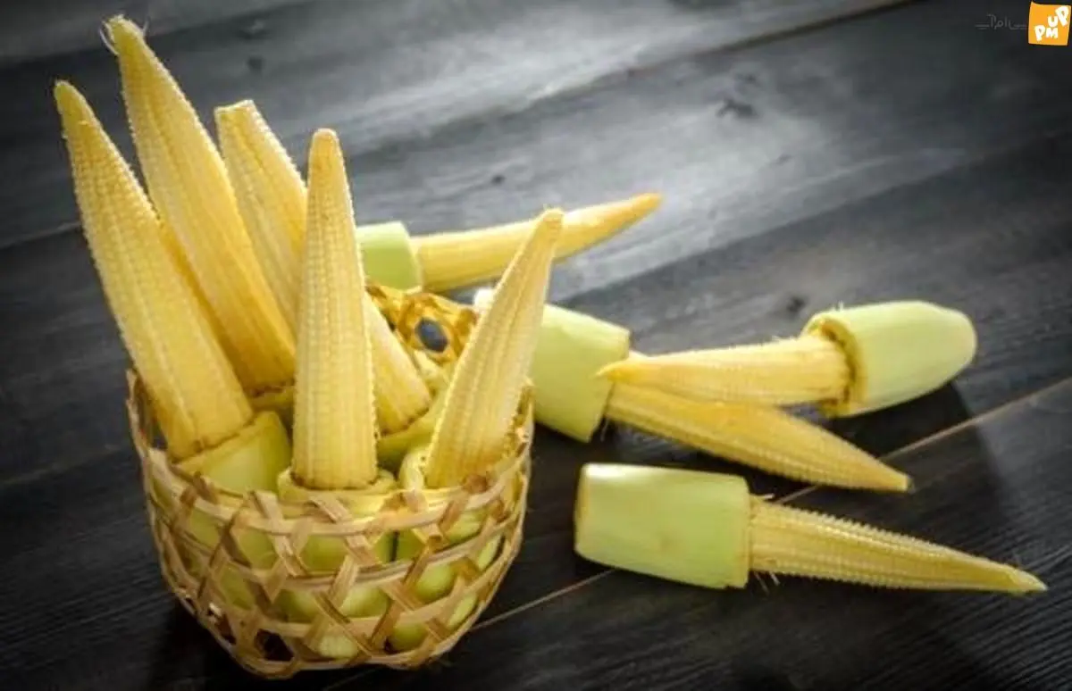  بچه ذرت و ارزش غذایی قابل توجه آن برای بدن