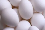 کشف ۴ تن تخم‌مرغ تقلبی در بم!