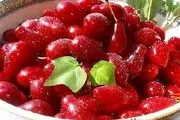 زغال اخته و کاهش قند خون