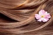 ۸ ترفند برای رشد سریع مو‌ها+ جزئیات