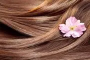 ۸ ترفند برای رشد سریع مو‌ها+ جزئیات