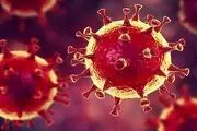 ابتلا به کرونای هندی در 17 کشور جهان شناسایی شد