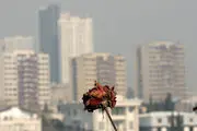 هوای تهران باز هم ناسالم شد