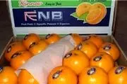 لغو ممنوعیت واردات نارنگی از پاکستان به ایران