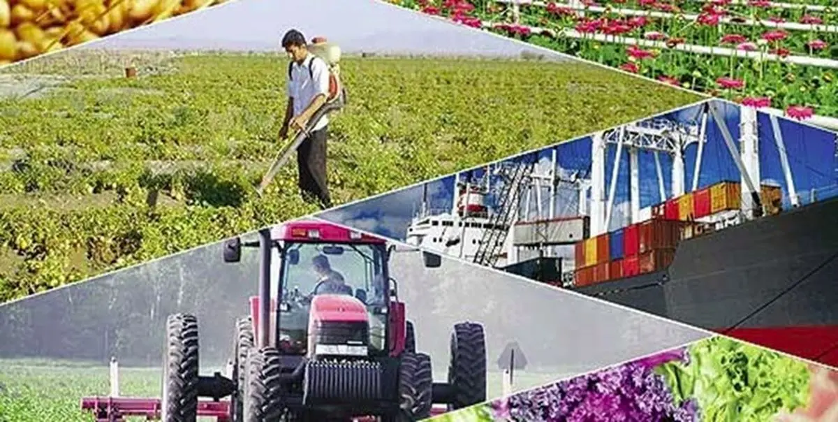 بررسی حذف معافیت مالیاتی بخش کشاورزی در هیات دولت