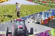 بررسی حذف معافیت مالیاتی بخش کشاورزی در هیات دولت