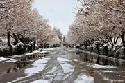غیر حضوری شدن مدارس ابتدایی شیفت صبح دماوند 