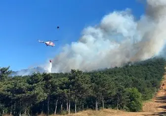 آتش‌سوزی در مناطق جنگلی استانبول ترکیه

