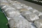 
درختی از جنس تریاک
