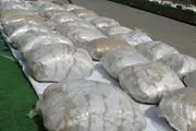 
درختی از جنس تریاک

