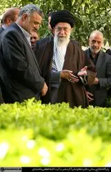 کاشت نهال رهبر
