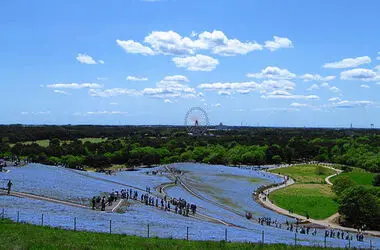 n00096731-r-b-004