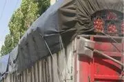 تیر بی تدبیری دولت این بار به گوجه فرنگی کاران رسید+ تصاویر