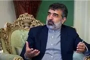 سخنگوی سازمان انرژی اتمی جواب آمانو را داد