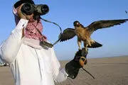 دستگیری همراهان شاهزاده قطری در پاکستان