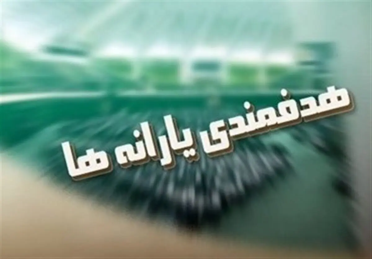 نصف درآمد هدفمندی صرف پرداخت یارانه شد