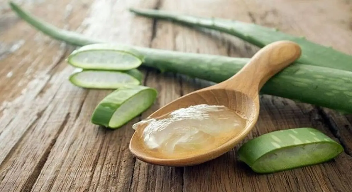 8 خاصیت آنتی اکسیدانی آلوئه‌ورا