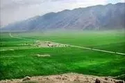 به کسی که به تو دشنام دهد پولی بده!
