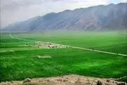 به کسی که به تو دشنام دهد پولی بده!