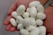 حلقه‌های مفقوده صنعت نوغانداری در پایتخت ابریشم کشور