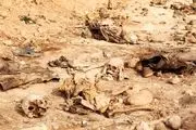 کشف ۱۲۰۰ جسد در گورهای دسته‌جمعی در «الرقه»