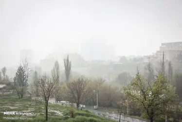 3421618_MJD_0080