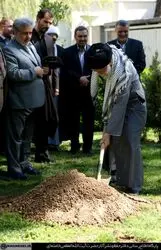 کاشت نهال رهبر