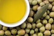 آسیب به باغ های زیتون شهرستان طارم
