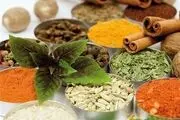 دلایل بروز گوشه گیری و ترس از دیدگاه طب سنتی