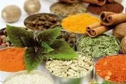 دلایل بروز گوشه گیری و ترس از دیدگاه طب سنتی