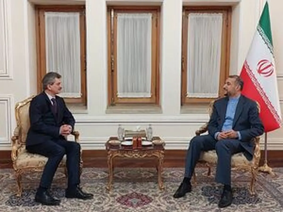 
دیدار خداحافظی سفیر ترکیه با امیرعبداللهیان
