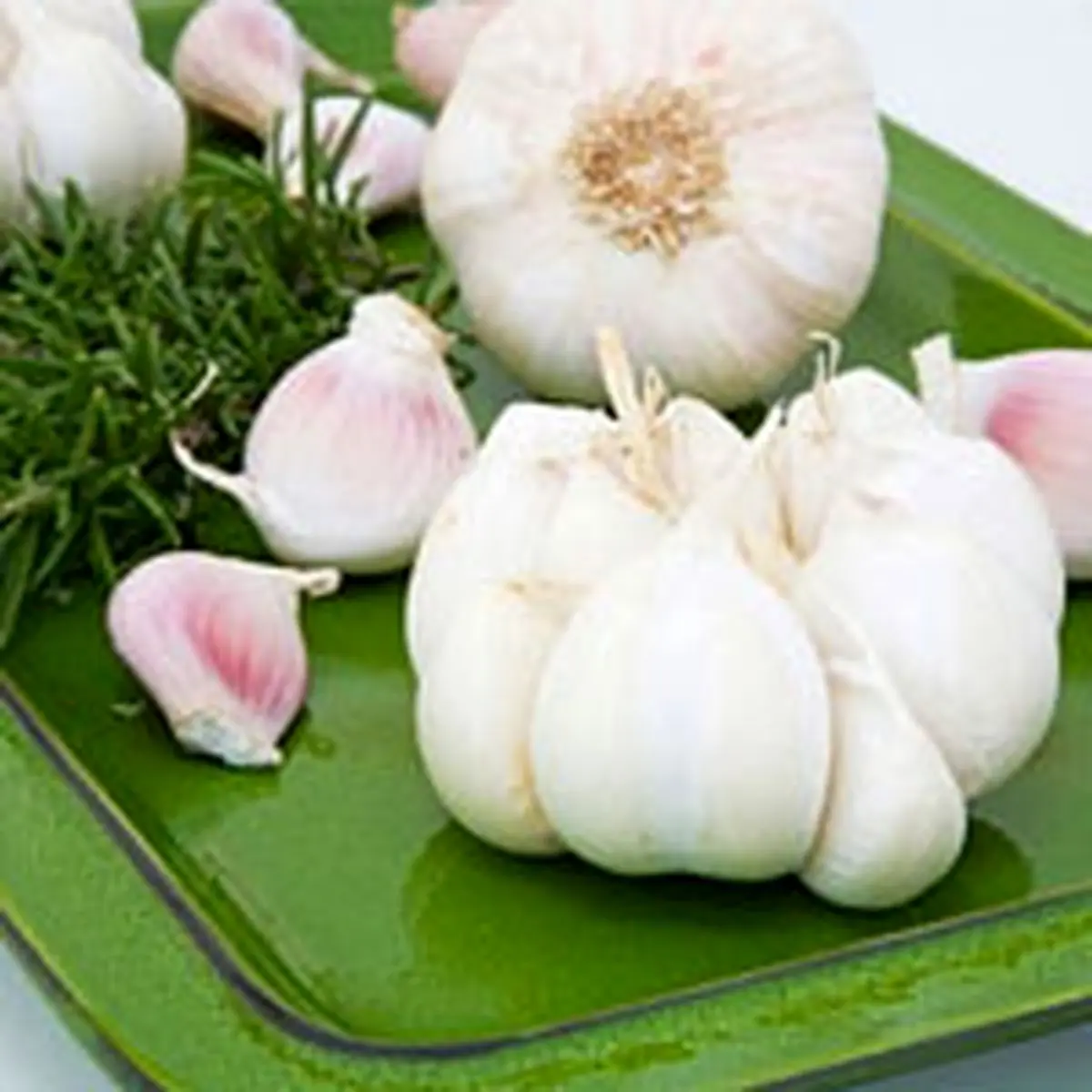 بهترین زمان برای مصرف سیر