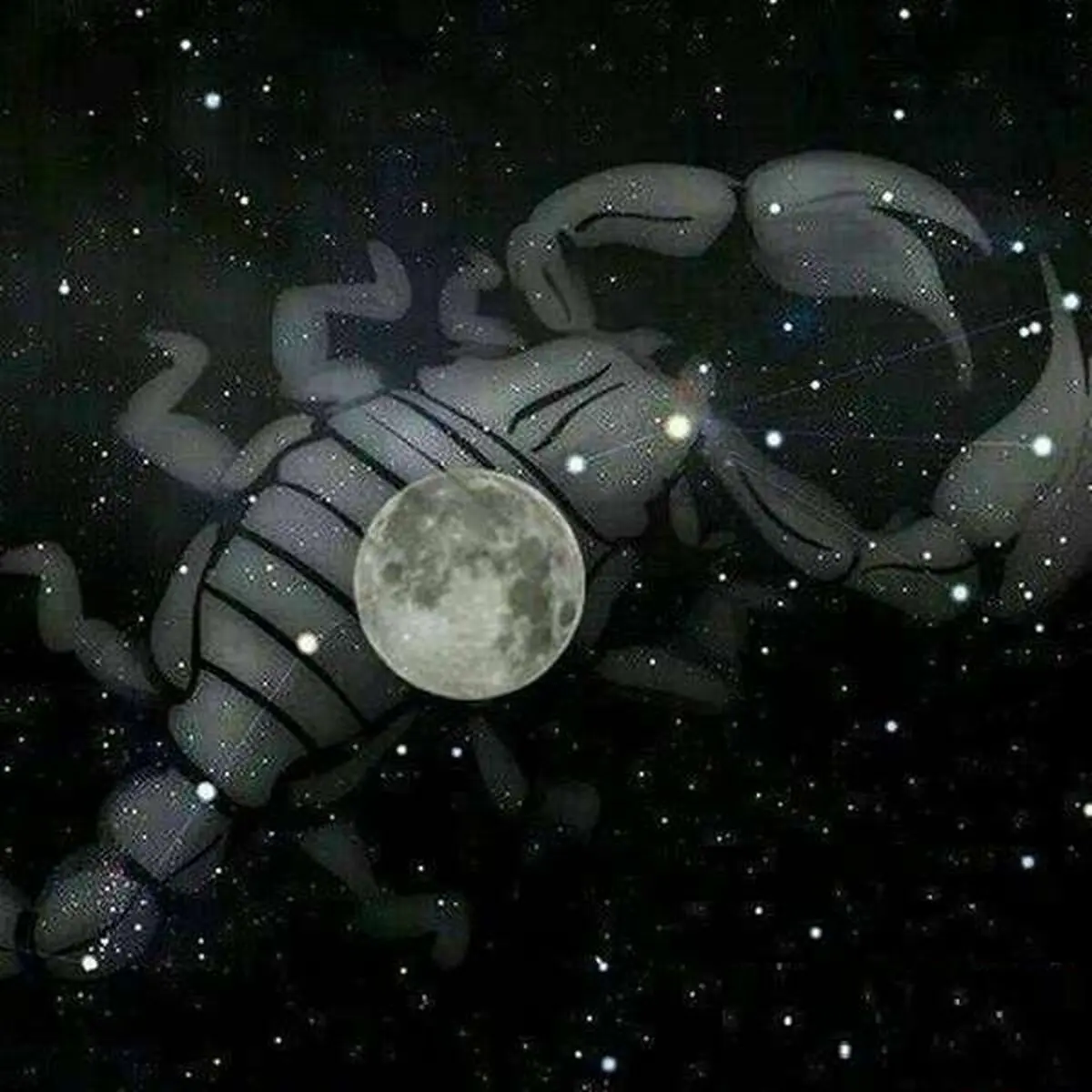 امروز دوشنبه ۱۳ آذر ۱۴۰۲ قمر در عقرب است؟
