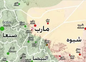 شماری از مزدوران سعودی در غرب یمن به هلاکت رسیدند