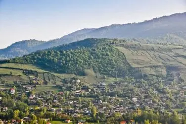 n00124685-r-b-008