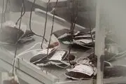 نزدیک به ۹۵ درصد اهداکنندگان خون را آقایان تشکیل می‌دهند
